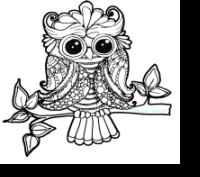 Deliberately Creative